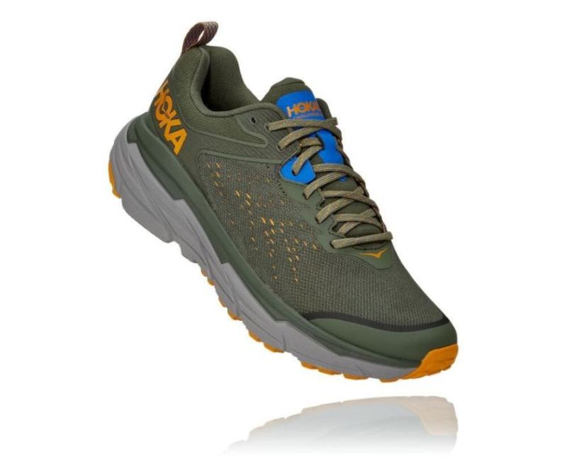 Hoka Challenger ATR 6 pour femme Thyme / Sharkskin